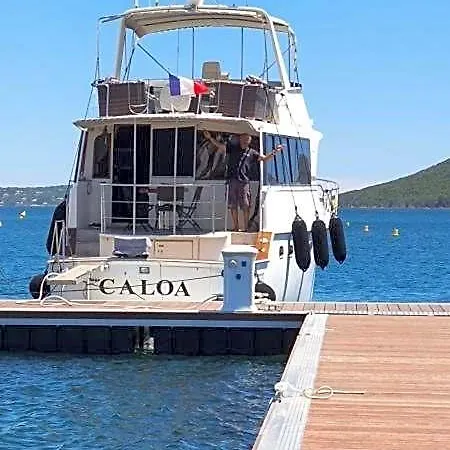 Ocean Yacht Trawler - Le Caloa Porto Vecchio