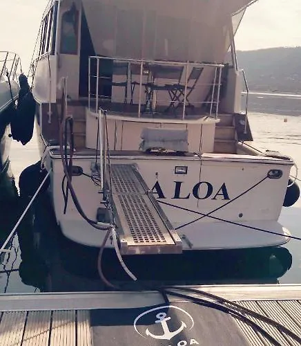 船屋 Ocean Yacht Trawler - Le Caloa *